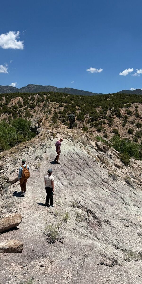 From Fossil Fragments to Future Discoveries: Building a New Molecular Paleontology Collection at CMNH